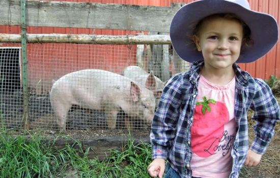 Caitlin-and-the-Pigs