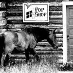 Pop Shop Horse B&W